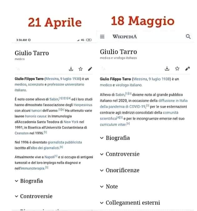 Tarro wiki.jpeg