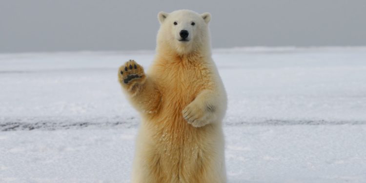 Non c’è abbastanza energia per mantenere al caldo 8 miliardi di persone su un pianeta che si raffredda