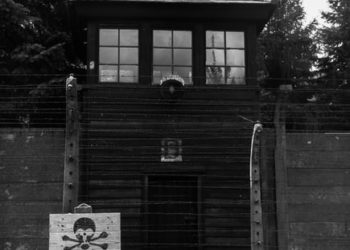 Governi EU al limite del criminale: per salvare l’€ sono oggi disposti ad ammazzare l’economia e vaccinare tutti con un farmaco non testato!