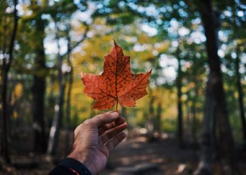 Trudeau affronta una forza più potente dei camion: l’amore per la libertà