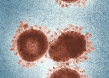 Alcuni takeout sulla variante “impossibile” Omicron, puntualissima nel far terminare la pandemia/far decollare i consumi in EU (e l’inflazione)