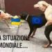 La situazione attuale di guerra in Europa, in un’immagine (mejo del Luttwak)