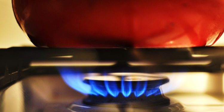 La mossa di Putin sul gas russo in rubli mette a nudo una grande verità: l’EU è governata da cojoni