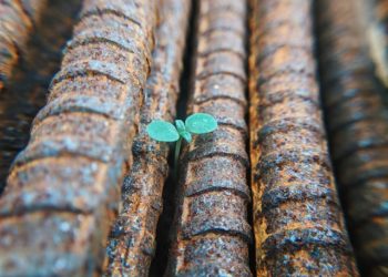 Che cosa abbiamo capito da questi (ormai) tre anni?