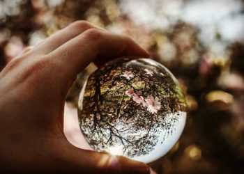 Che cos’è la politica?