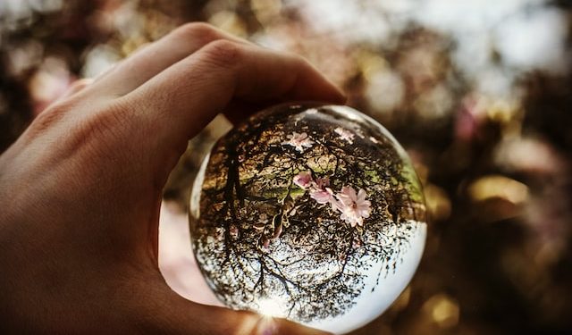 Che cos’è la politica?