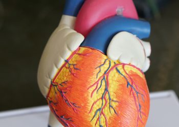 Il danno cardiaco a seguito delle iniezioni di siero COVID è stato dimostrato dai ricercatori svizzeri
