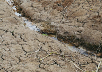 Caldo record solo in EUropa: come la geoingegneria pro Reset prepara la siccità estiva EUropea prossima ventura