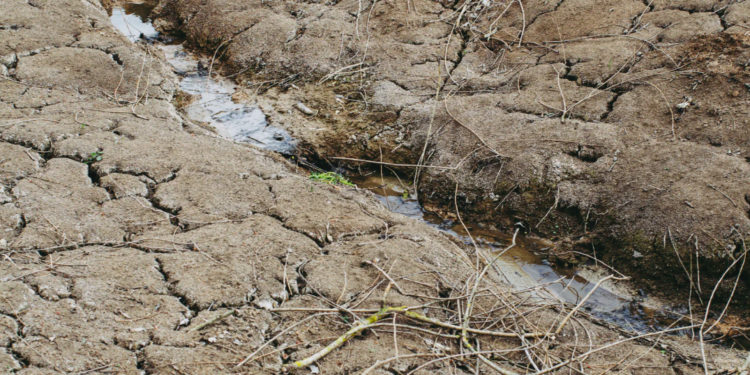 Caldo record solo in EUropa: come la geoingegneria pro Reset prepara la siccità estiva EUropea prossima ventura