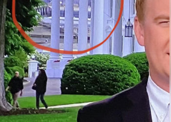 La non belligeranza contro Giorgia Meloni di Elly Schlein