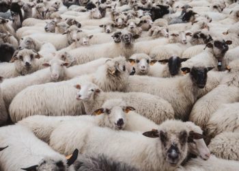 L’accusa dell’economista Javier Milei a Davos, “Collettivismo oligarchico”: è lo stesso collettivismo enunciato da Orwell, in “1984”!