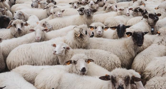 L’accusa dell’economista Javier Milei a Davos, “Collettivismo oligarchico”: è lo stesso collettivismo enunciato da Orwell, in “1984”!