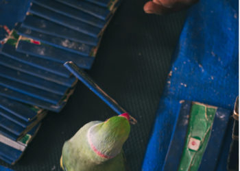 Cosa aspettarsi nel 2025? Qualche previsione “oltraggiosa”…