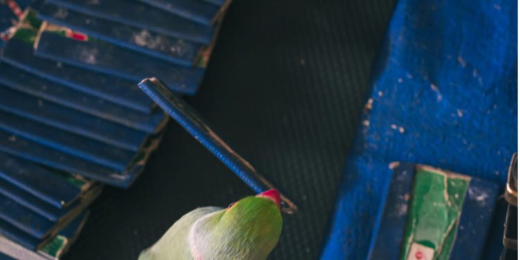 Cosa aspettarsi nel 2025? Qualche previsione “oltraggiosa”…