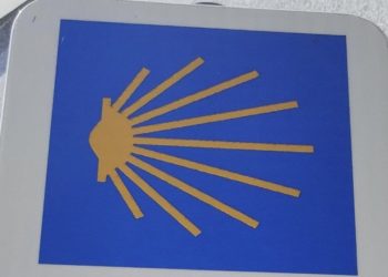 Il Papa eletto condannerà colonialismo, migrazioni selvagge e guerra in Europa