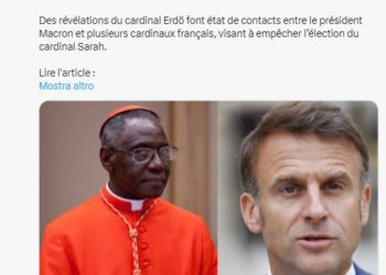 Diamo la scorta al cardinale Robert Sarah! Macron lo vuole soccombente (occhio al senso)