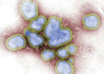 Il punto su virus, infezioni e prioni – di Tiziano Gastaldi