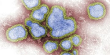 Il punto su virus, infezioni e prioni – di Tiziano Gastaldi