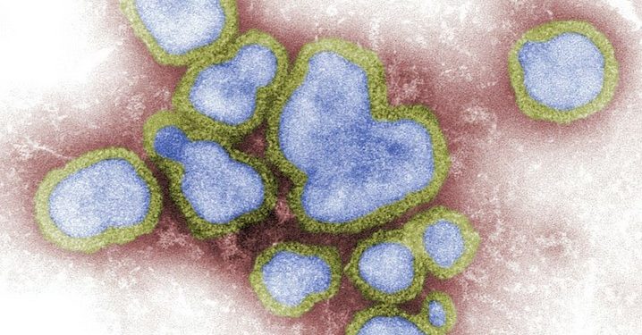 Il punto su virus, infezioni e prioni – di Tiziano Gastaldi