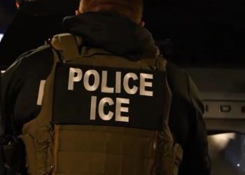 Cosa è davvero l’ICE Americana (e perchè Davos la teme come la peste)