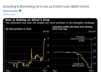 La Cina è davvero il colonialista del III. millennio: manipola i mercati per accaparrarsi materie prime a basso prezzo!