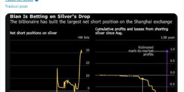 La Cina è davvero il colonialista del III. millennio: manipola i mercati per accaparrarsi materie prime a basso prezzo!
