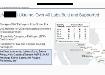 Perche in Israele, pur in guerra con l’Iran, si tengono regolari elezioni ed invece in Ucraina no?